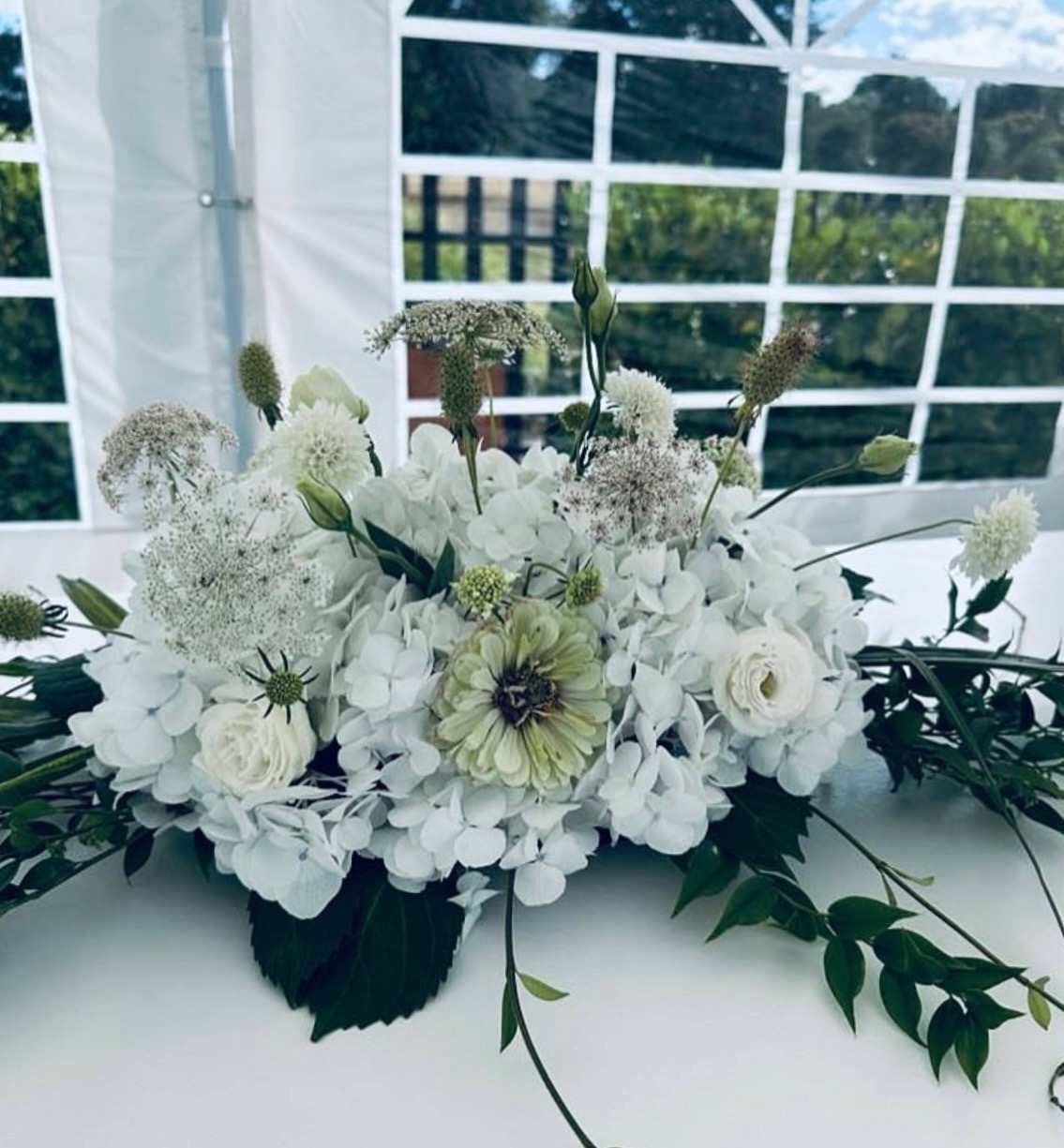 Blooms