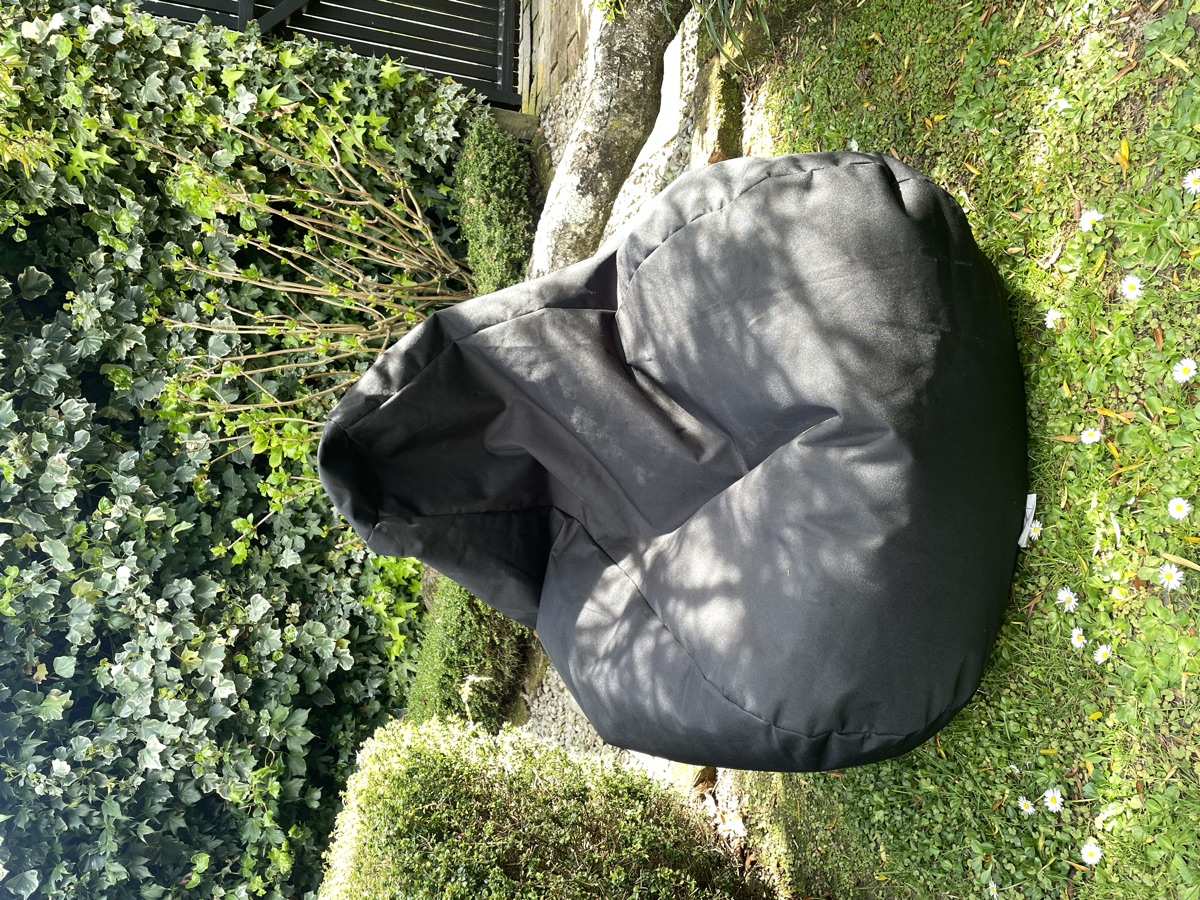 Black Bean Bags
