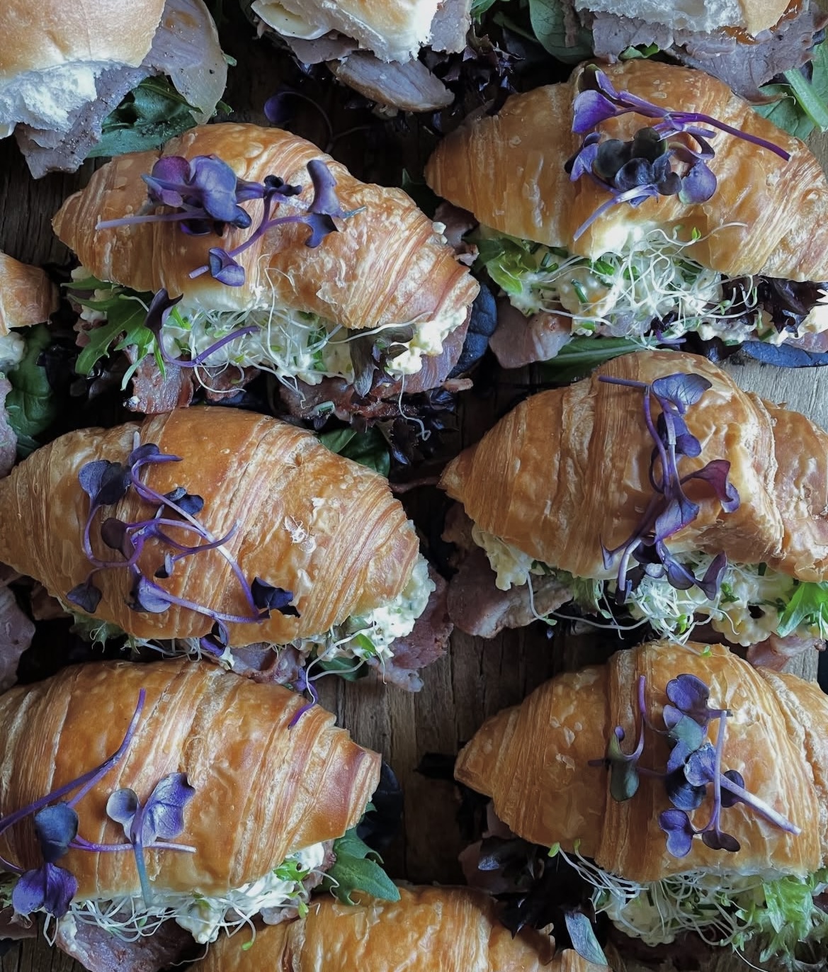 Packed Lunches